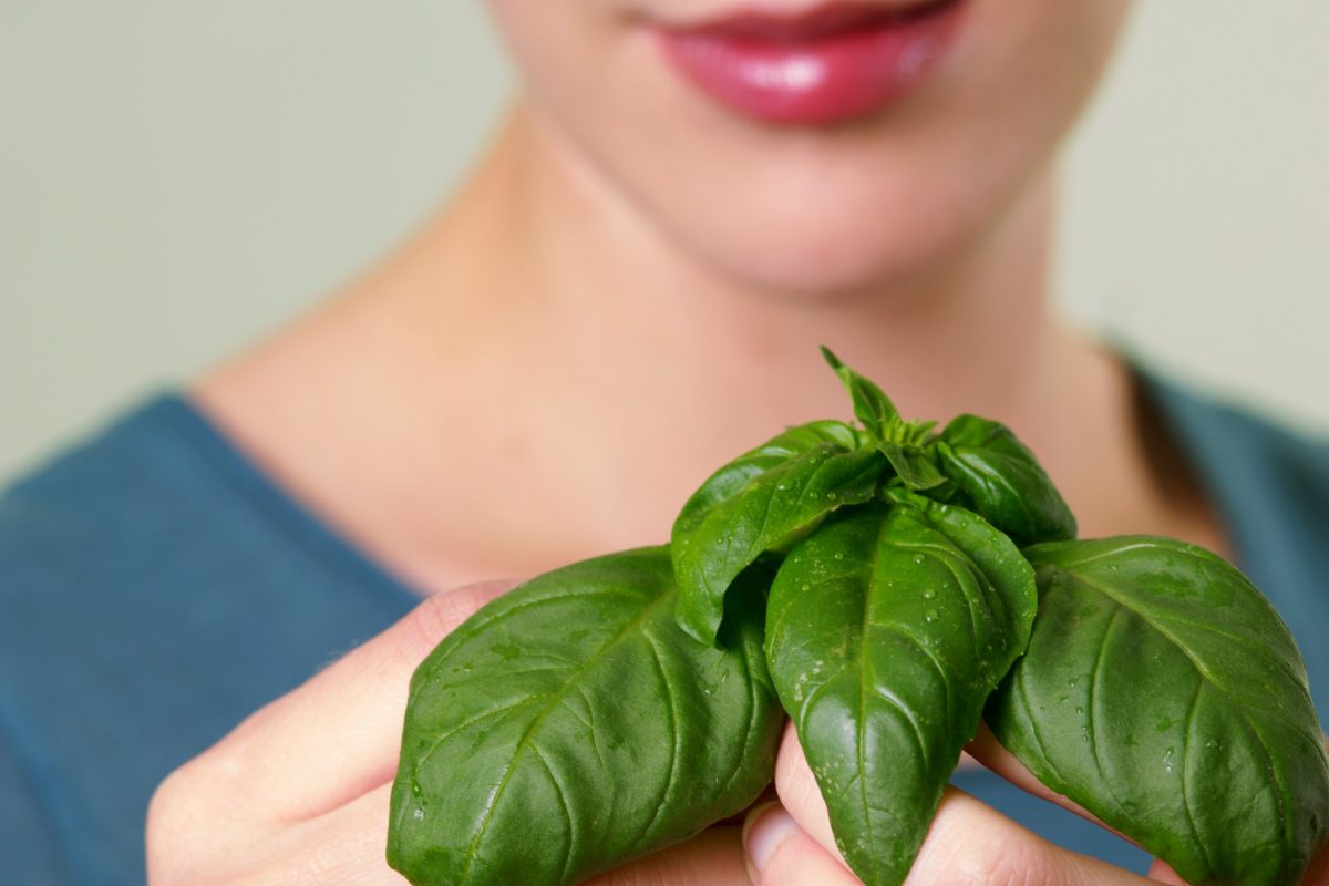 Il basilico non serve solo in cucina: con le sue foglie curo anche la mia pelle e i miei capelli
