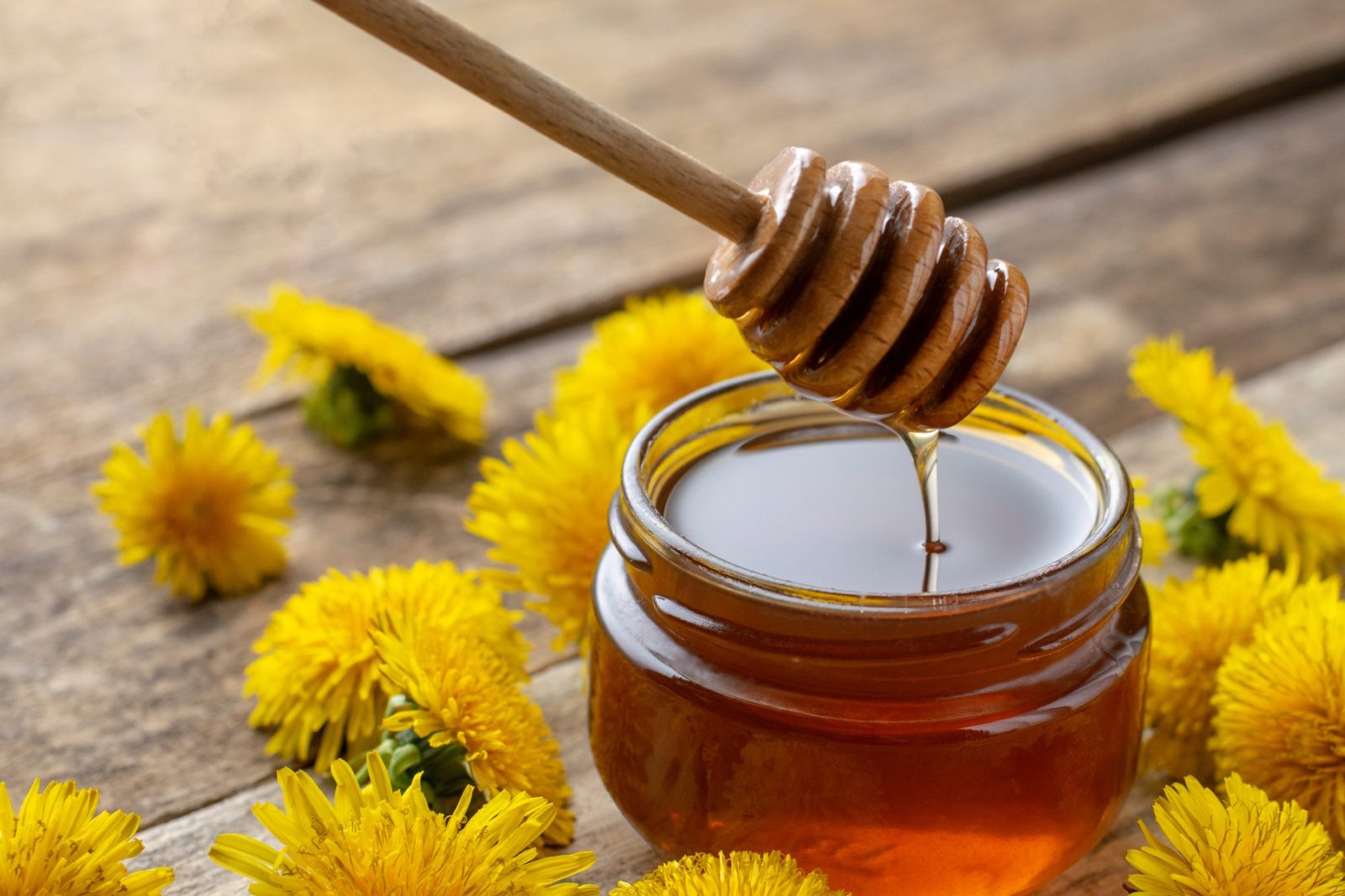 Miele di tarassaco: la ricetta segreta per una gelatina di fiori