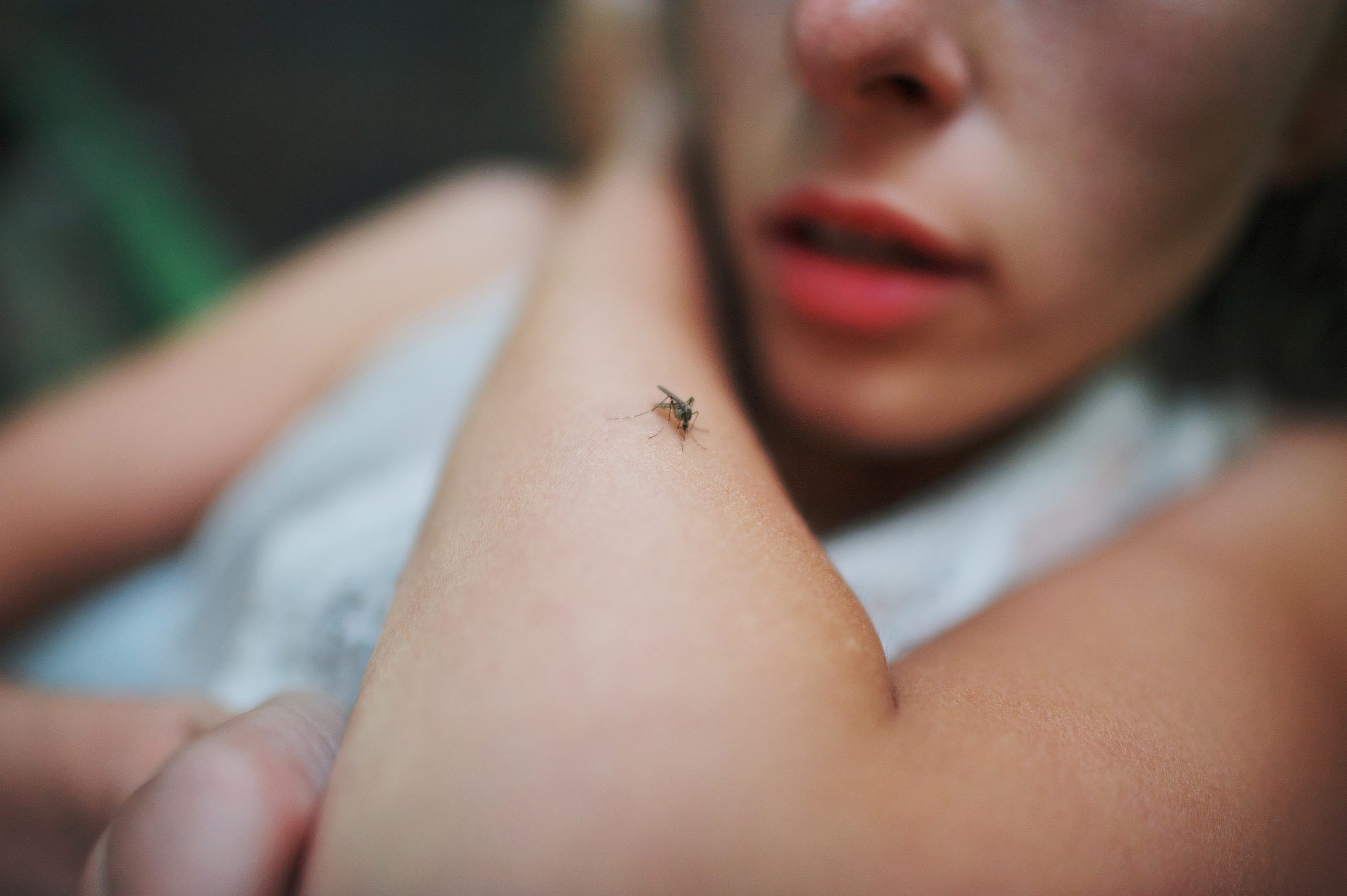 Citronella e zampironi addio: scopri il metodo super efficace contro le zanzare