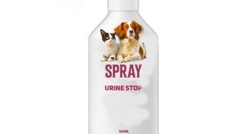 Spray anti urina fai da te: con pochi centesimi, ottimo per Cani e gatti