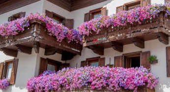 Fiori perenni: Il tuo balcone sempre in fiore. Tante idee da lasciarti senza fiato