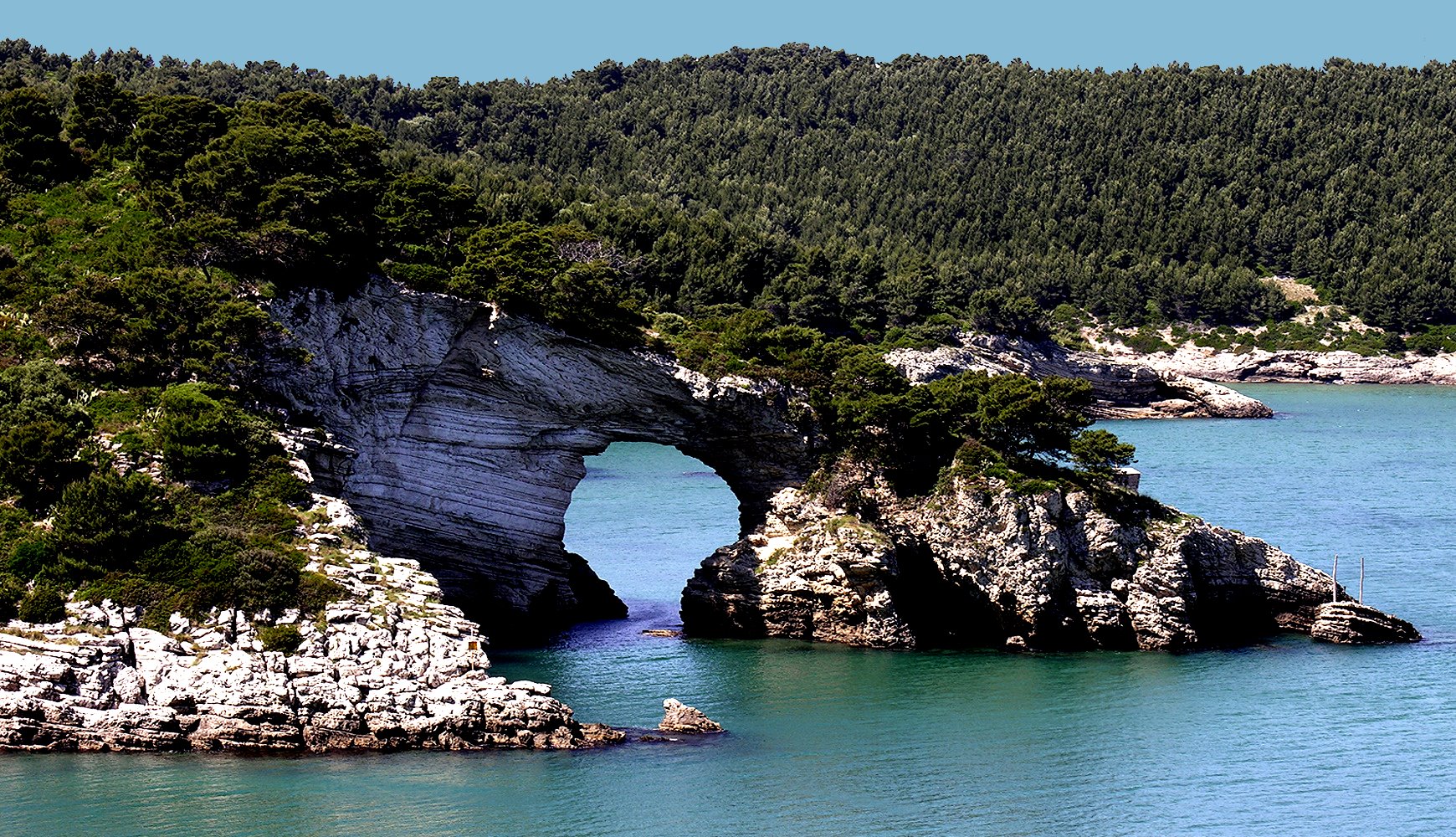 Come organizzare le vacanze sul Gargano: dove alloggiare e cosa vedere