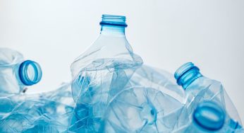 Riciclo Bottiglie di plastica: le idee più semplici da realizzare