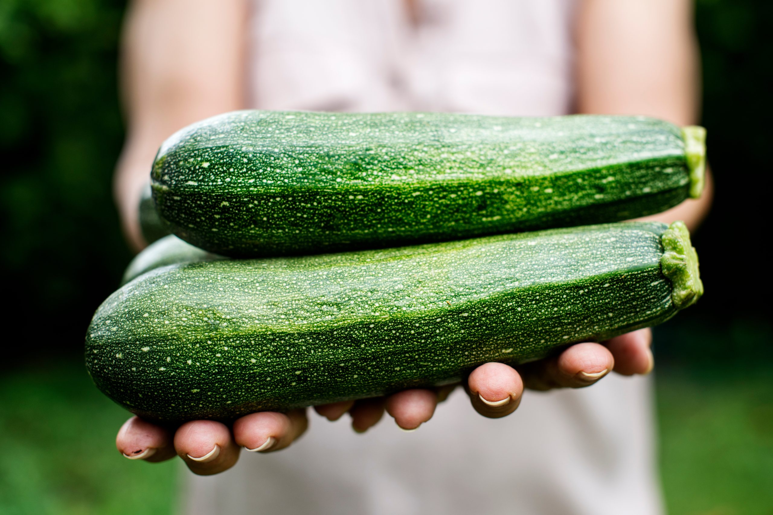 Le zucchine ti rovinano le mani? Il motivo è questo!