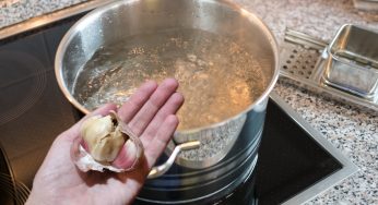 Fai bollire 5 spicchi di aglio in una grossa pentola e poi usalo così: la mia nonna lo faceva per tutta l’estate!