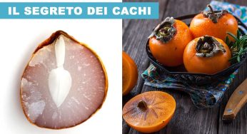 Le posate che trovavamo nei cachi da piccoli, chi se le ricorda? Questo è il significato!