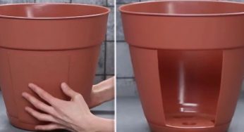 Realizza questo progetto per il tuo orto o giardino con 2 semplici vasi di plastica