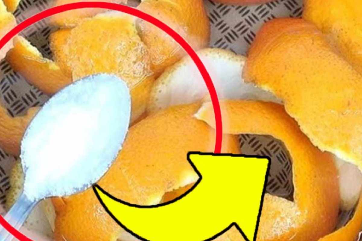 Écorces d’orange et sel : à la maison, ils valent leur pesant d’or si vous les utilisez comme ça