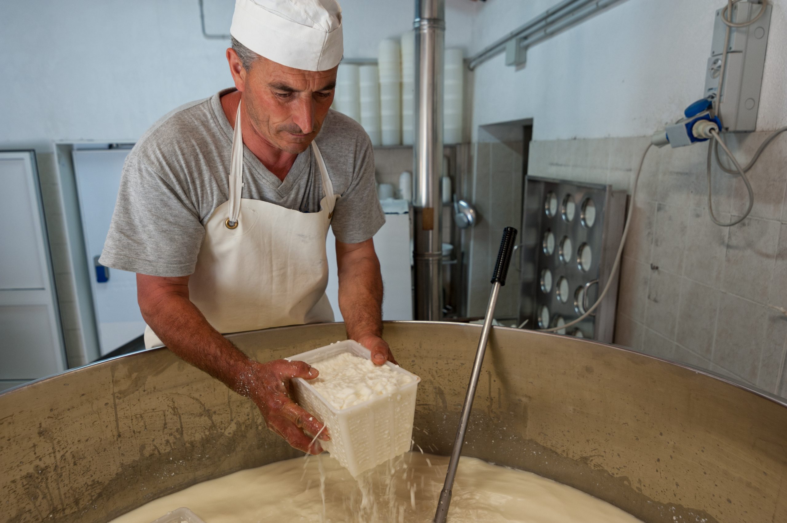 Congelare la ricotta è possibile? La risposta degli esperti