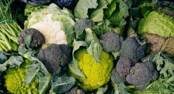 Broccoli e cavolfiori: se li congeli così non dovrai mai più comprarli! Avrai la scorta per 1 anno