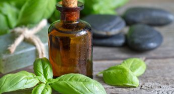 Olio di basilico: non è solo condimento. Usalo come rimedio naturale