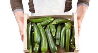 Zucchine: il metodo perfetto per congelarle cotte e crude