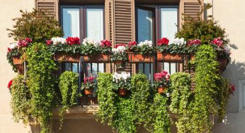 Balcone fiorito anche in autunno: scopri come fare!