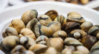 Vongole: falle spurgare con il trucco degli chef. Niente più sabbia con questo ingrediente