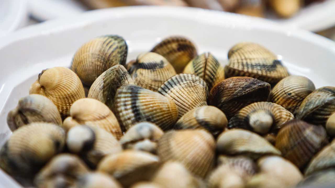 Vongole: falle spurgare con il trucco degli chef. Niente più sabbia con questo ingrediente