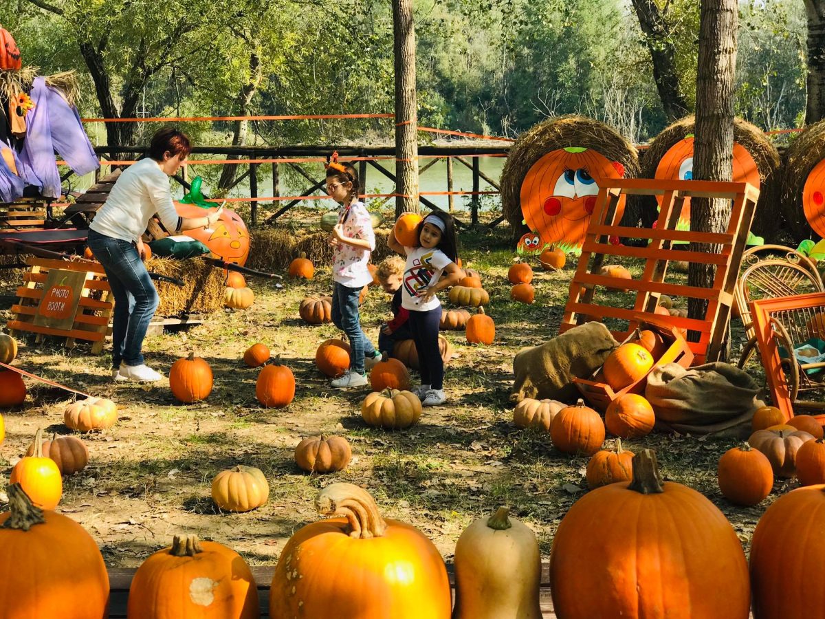 Scopri con noi i 5 Pumpkin patch più belli d’Italia: assolutamente da non perdere!