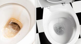 Pulire il WC: da quando ho scoperto questo metodo è sempre bianco e splendente! Non uso più prodotti chimici!