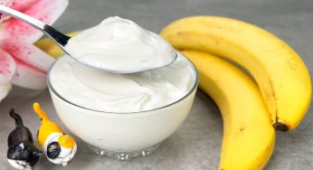 Uso solo yogurt, banane e fiocchi d’avena. Il risultato è delizioso e con solo 90 kcal