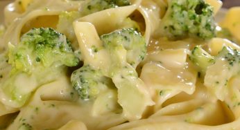 Pasta cremosa ai broccoli: primo piatto irresistibile. È semplicissimo