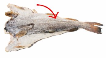 Dissalare il baccalà: il metodo perfetto per farlo e come riconoscere quello vero!