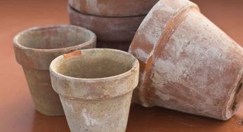 Rinnovare vecchi vasi di terracotta: tante idee originali per dargli nuova vita