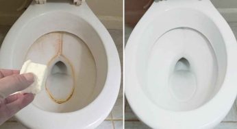 Bombe disincrostanti fai da te: un rimedio super efficace per il tuo wc!