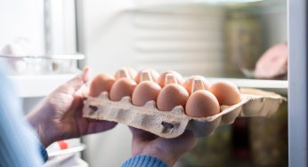 Bisogna conservare Le uova dentro o fuori dal frigo? La risposta dell’esperto!