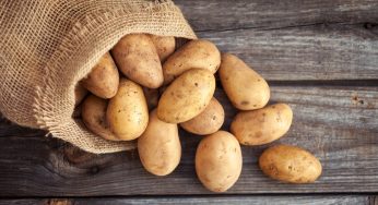 Conservare le patate per mesi: con questo trucco è facilissimo