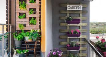 Trasforma il tuo Balcone: crea il tuo Giardino verticale in poche e semplici mosse!