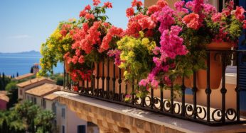 Fiori sul balcone che puoi piantare a Marzo. Il risultato sarà profumato e coloratissimo, farai invidia a tutto il vicinato!