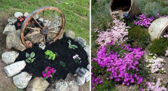 Aiuole fai da te: tante idee facili da realizzare per il tuo giardino