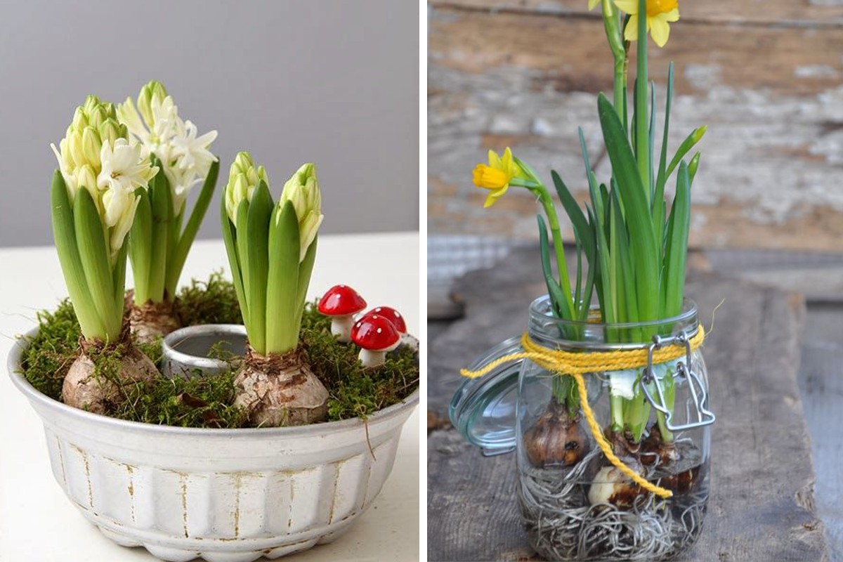 In primavera, mi diverto a creare tantissime composizioni con i Bulbi in fiore, è facilissimo, idee di riciclo tutte da copiare!