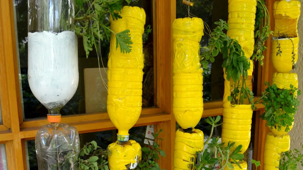 Immagine editoriale per Bottiglia di plastica, non buttarla: diventa un semenzaio da finestra per semi e aromatiche