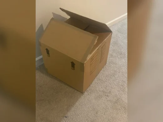 Immagine editoriale per Scatole delle consegne: il riciclo furbo per creare organizer belli e utili in casa