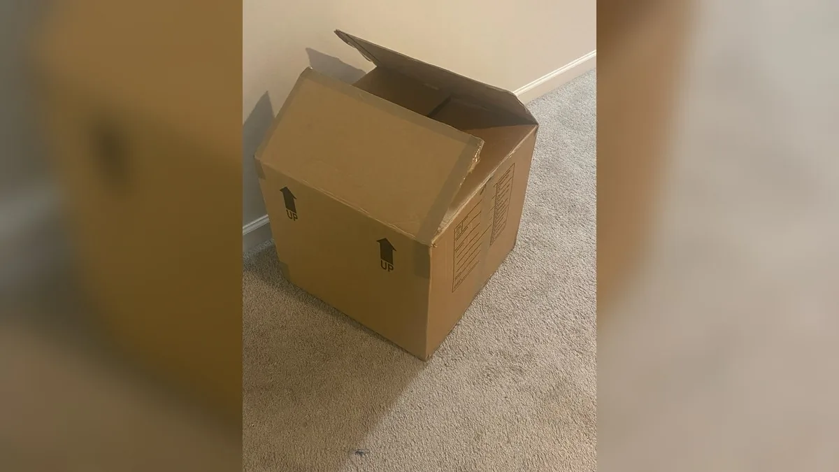 Immagine editoriale per Scatole delle consegne: il riciclo furbo per creare organizer belli e utili in casa